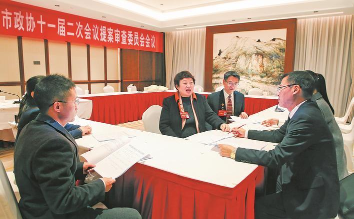 市政协十一届二次会议提案审查委员会举行会议